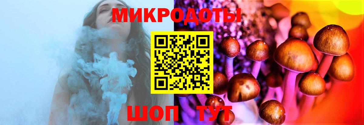 Димитровград  Псилоцибиновые грибы мицелий  Вход с VPN 